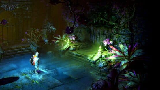 Trine 2 — image 2