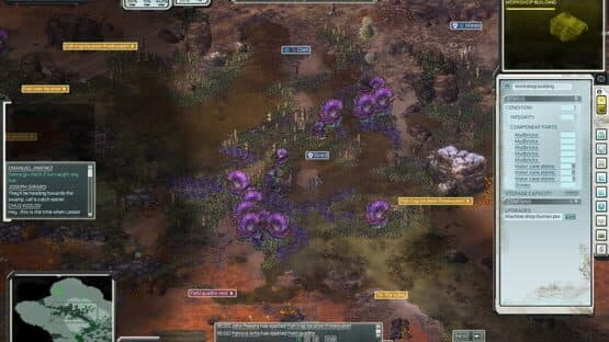 Unclaimed World — image 4