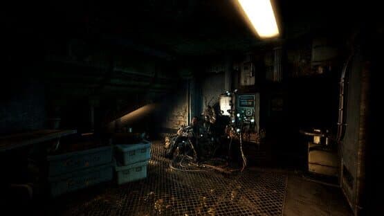 Soma — image 5