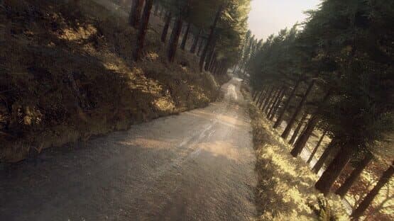 Dirt Rally 2.0: Colin McRae - Flat Out Pack — image 3