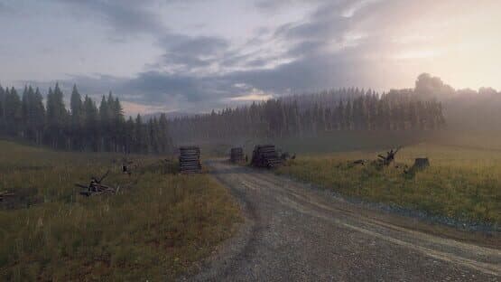 DiRT Rally 2.0: Wales (Rally Location) — image 5