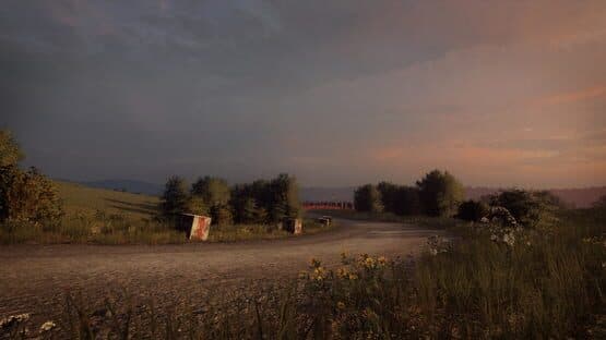 DiRT Rally 2.0: Germany (Rally Location) — image 3