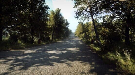 DiRT Rally 2.0: Germany (Rally Location) — image 5