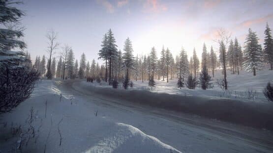 DiRT Rally 2.0: Sweden (Rally Location) — image 2