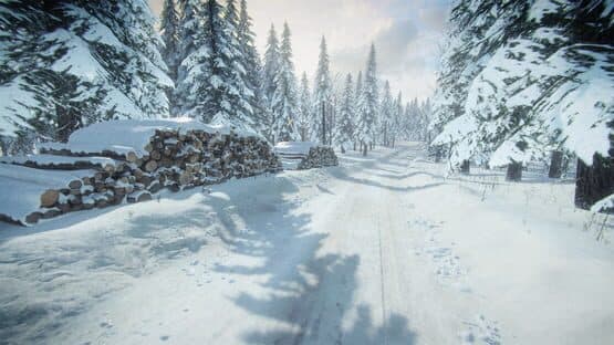DiRT Rally 2.0: Sweden (Rally Location) — image 3