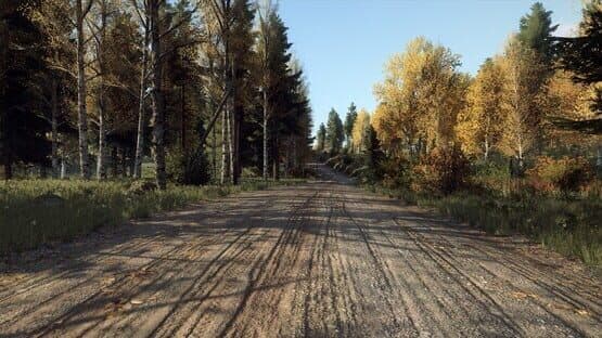 DiRT Rally 2.0: Finland (Rally Location) — image 3