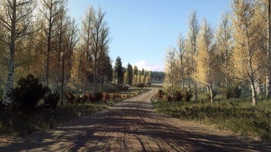 DiRT Rally 2.0: Finland (Rally Location) — image 4