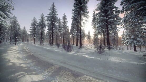 DiRT Rally 2.0: Sweden (Rally Location) — image 5