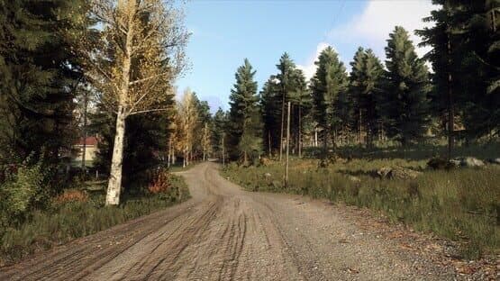 DiRT Rally 2.0: Finland (Rally Location) — image 5