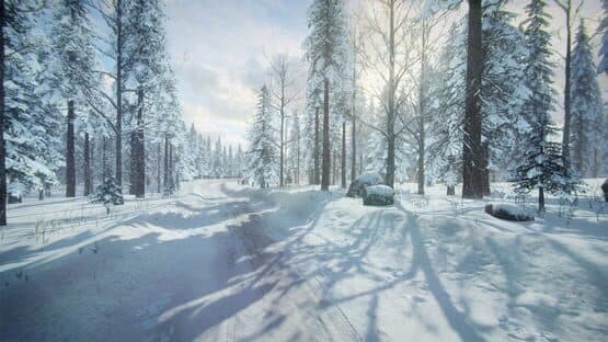 DiRT Rally 2.0: Sweden (Rally Location) — image 1