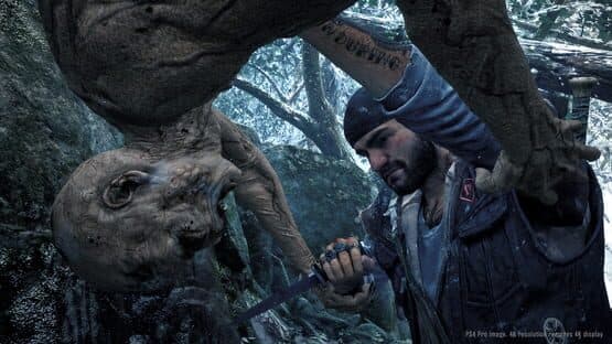 Days Gone — image 5