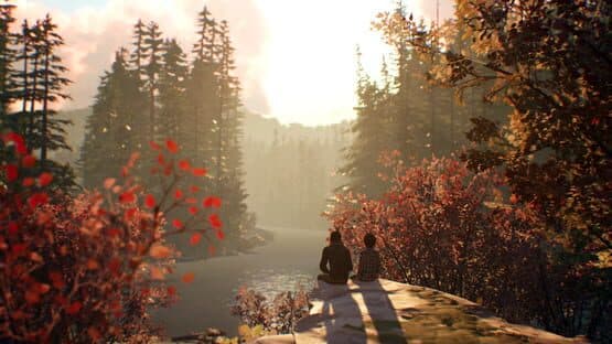 Life Is Strange 2 — image 1