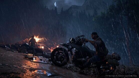 Days Gone — image 3